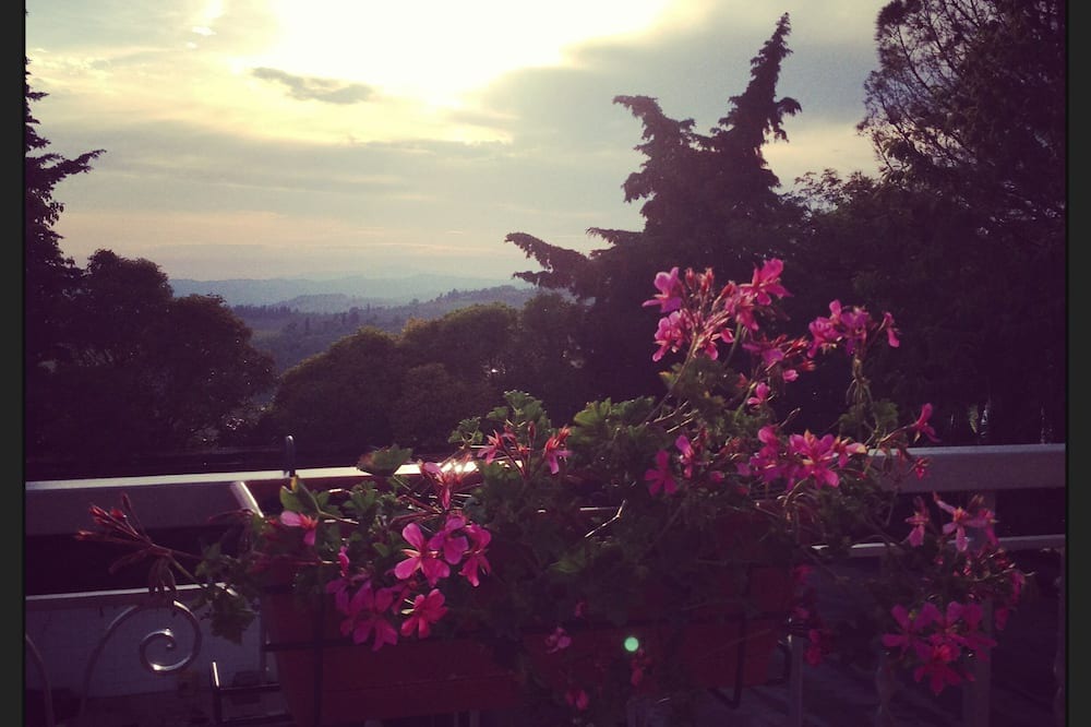 Photo of Others in Panzano in Chianti