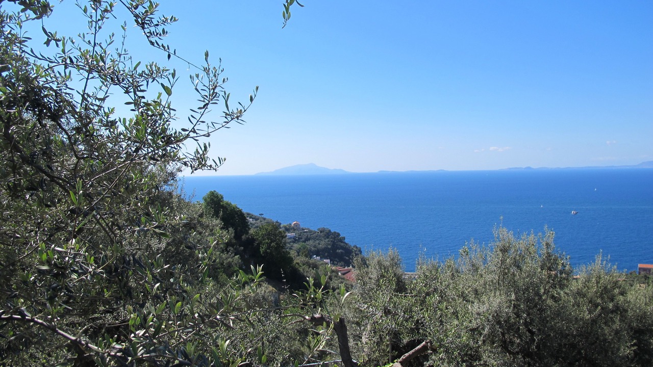 Photo of Others in Schiazzano