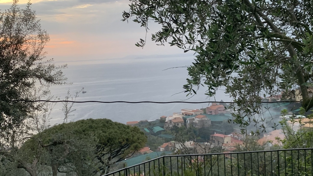 Photo of Outdoor in Schiazzano