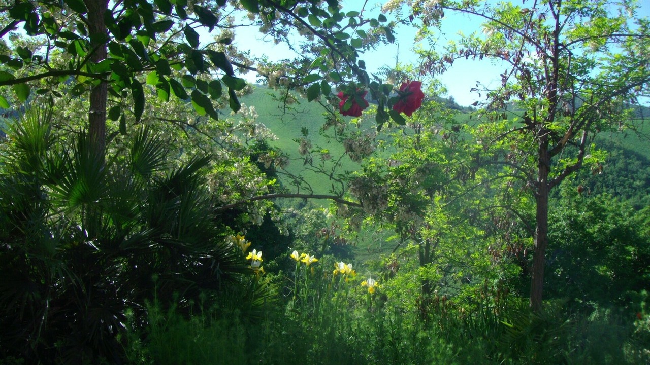 Photo of Outdoor in Piandimeleto