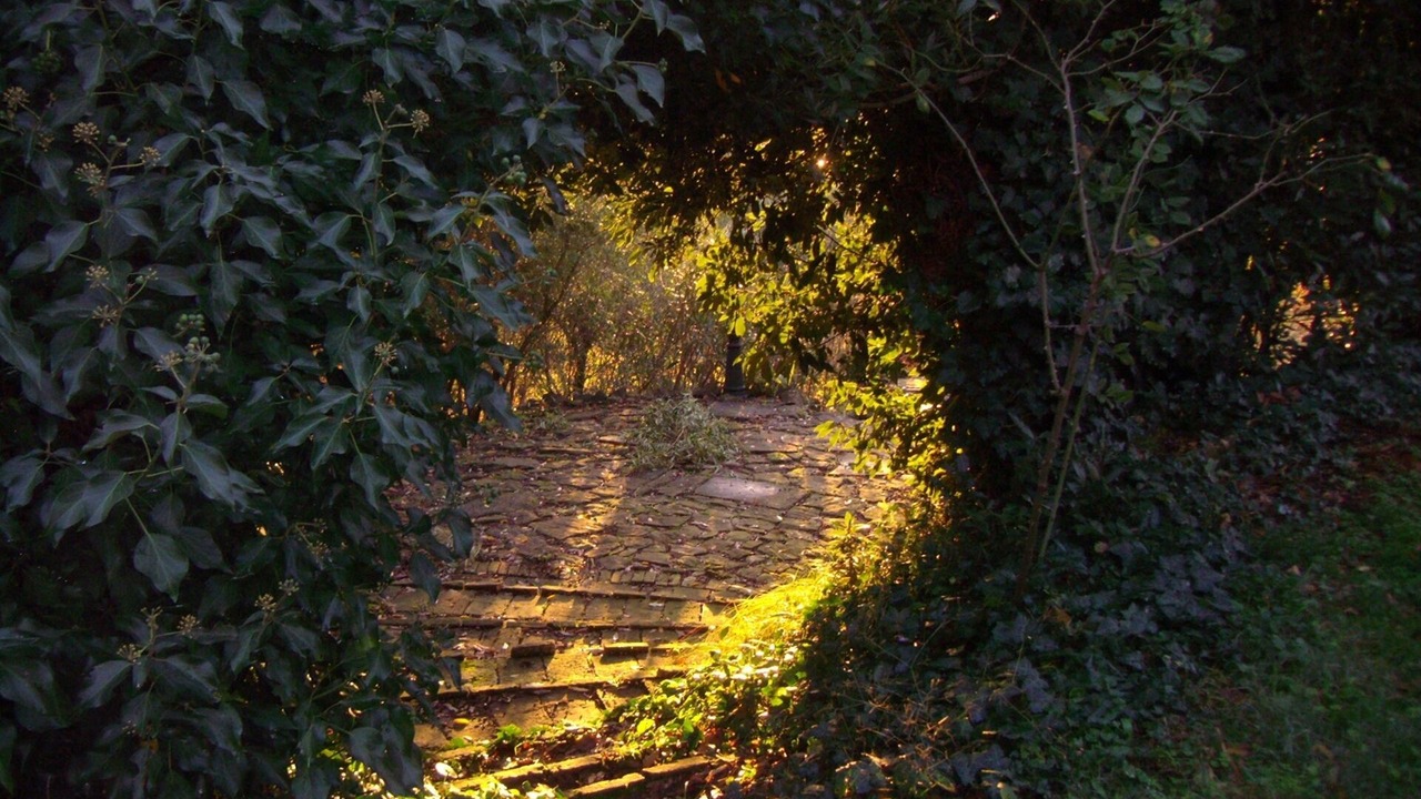 Photo of Outdoor in Piandimeleto
