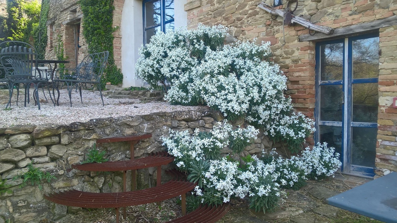 Photo of Outdoor in Piandimeleto
