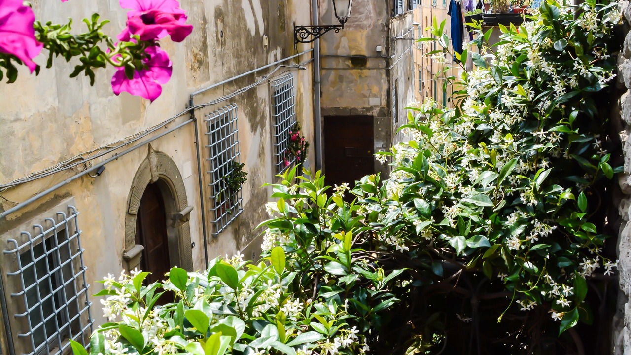 Photo of Outdoor in Castel Gandolfo