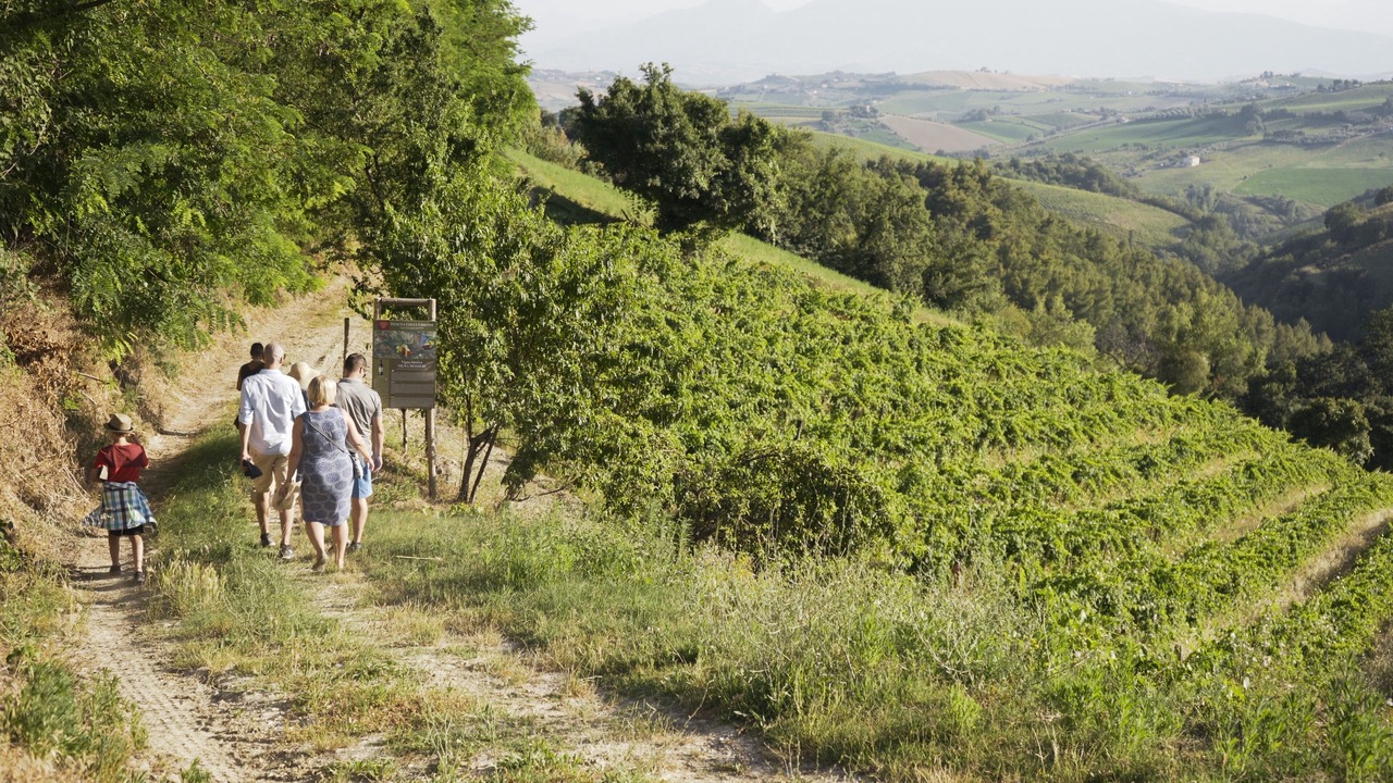 Photo of Outdoor in San Savino