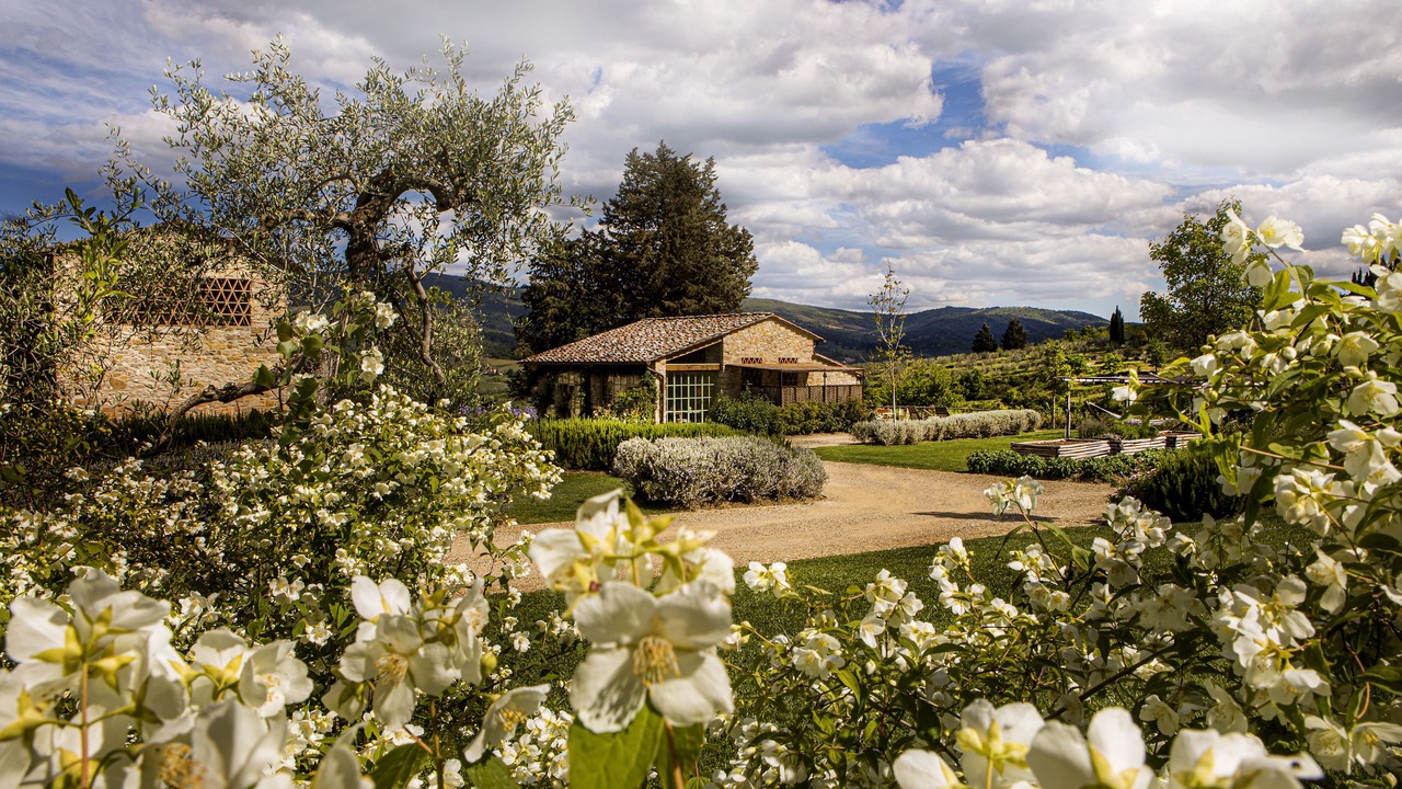 Photo of Outdoor in Greve in Chianti