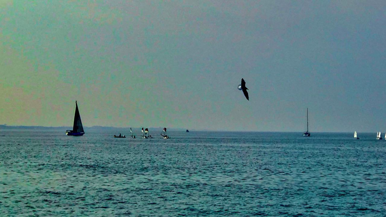 Photo of Others in Rivazzurra