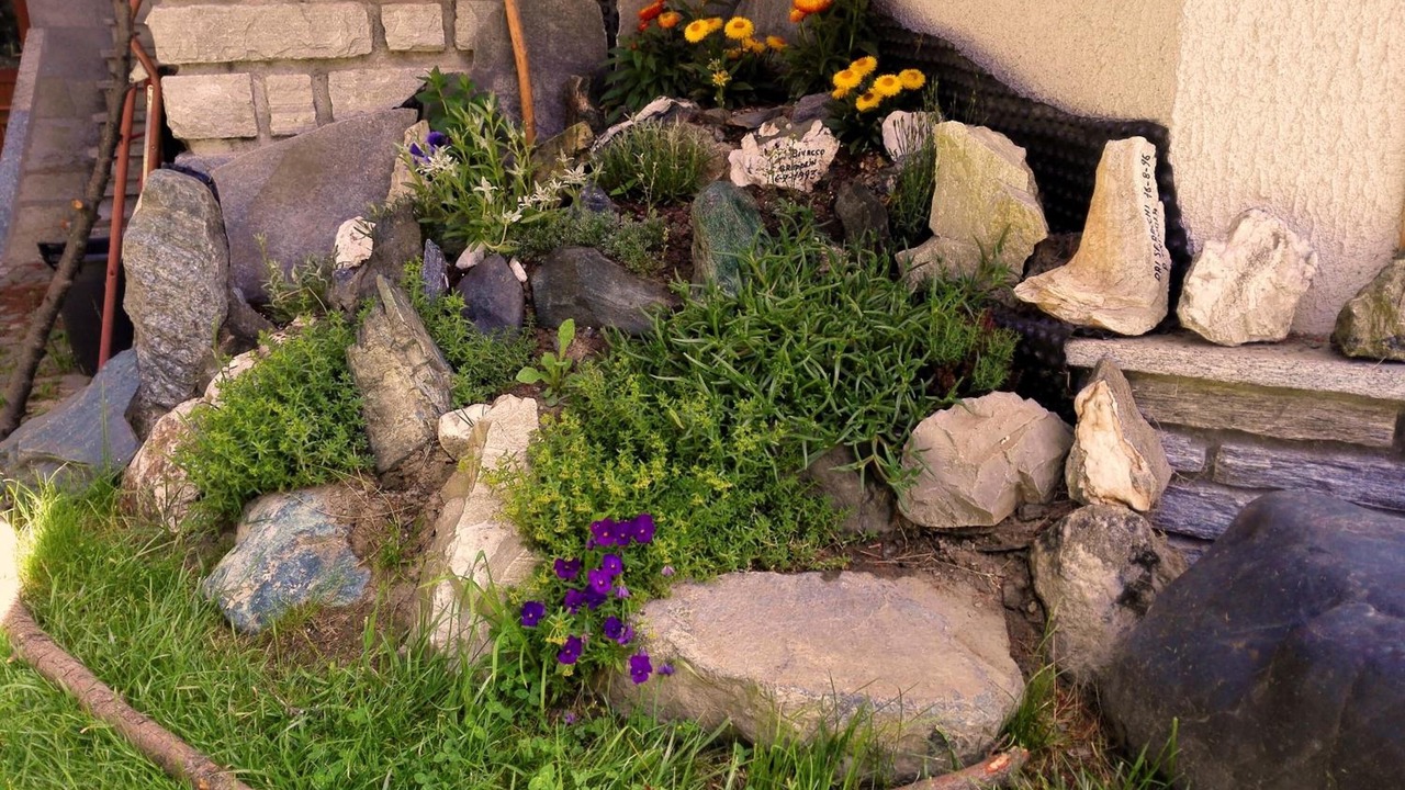 Photo of Outdoor in Cogne