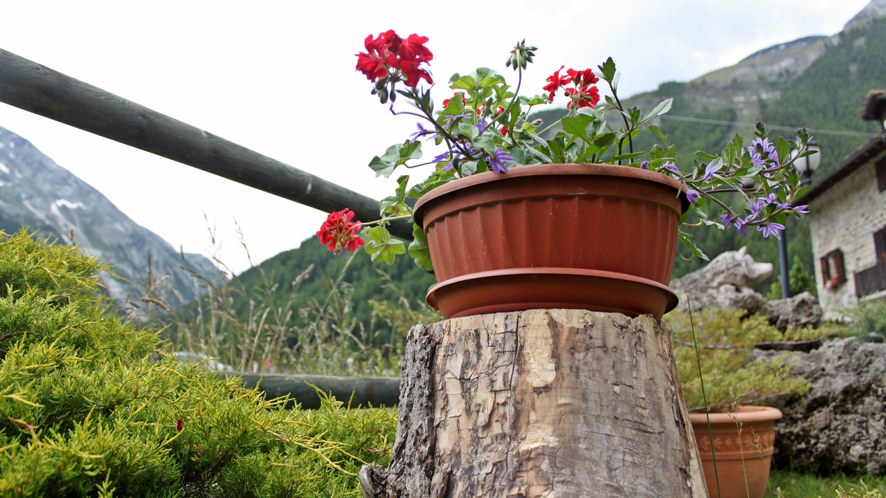Photo of Outdoor in Cogne