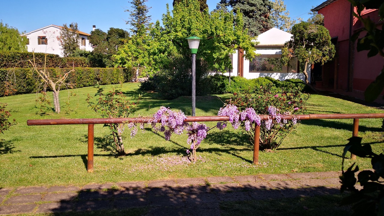 Photo of Outdoor in Capalbio
