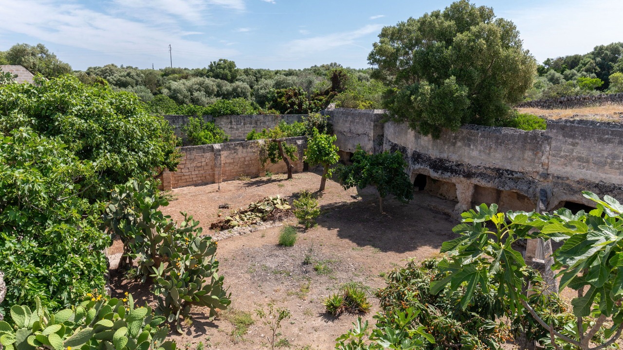Photo of Outdoor in Rosa Marina
