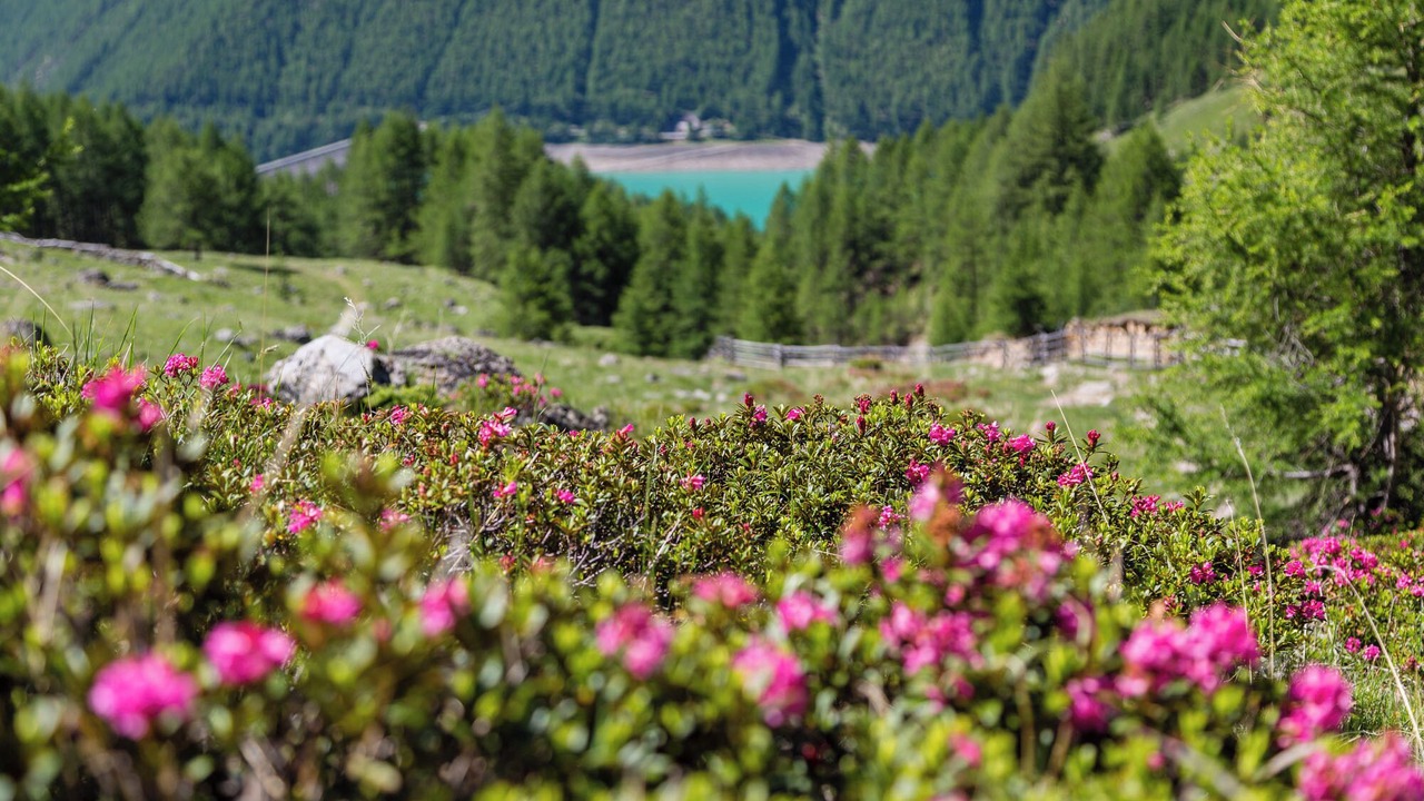 Photo of Outdoor in Senales