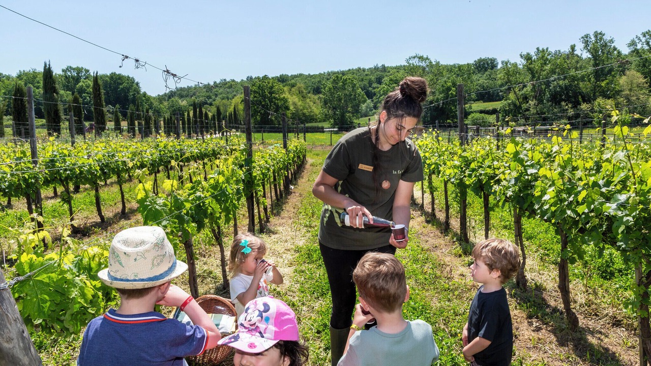 Photo of Outdoor in Figline e Incisa Valdarno