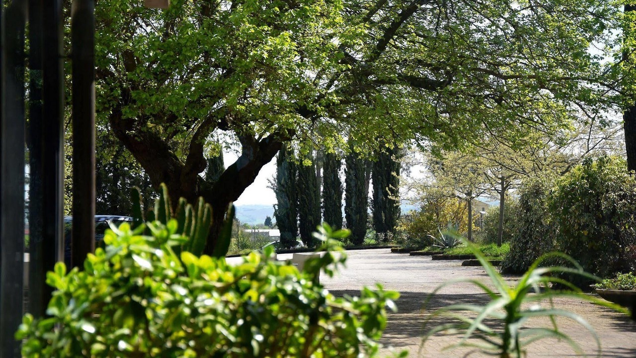 Photo of Outdoor in Maiolati Spontini
