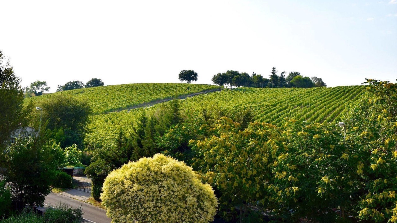 Photo of Outdoor in Maiolati Spontini
