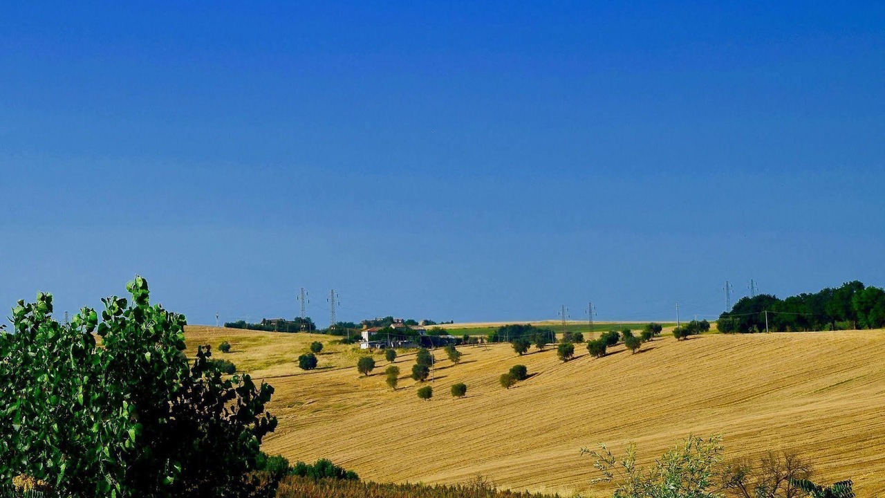 Photo of Outdoor in Maiolati Spontini