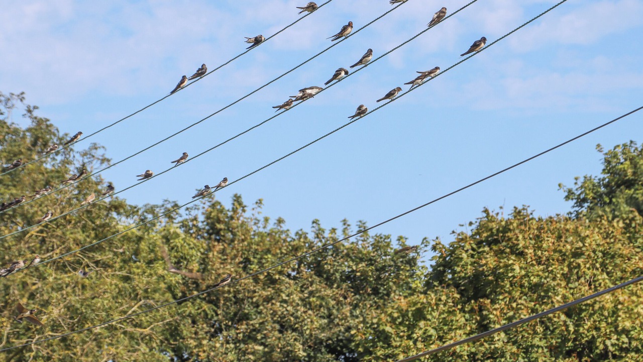 Photo of Others in Dover