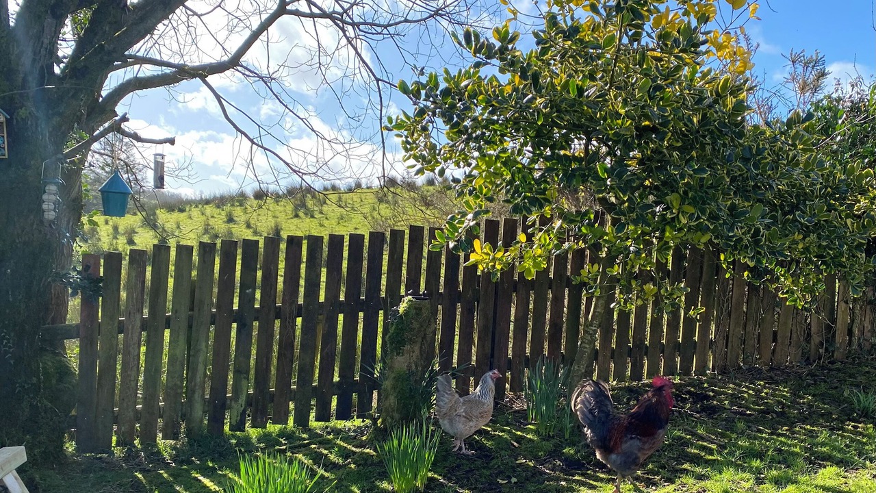 Photo of Outdoor in Omagh