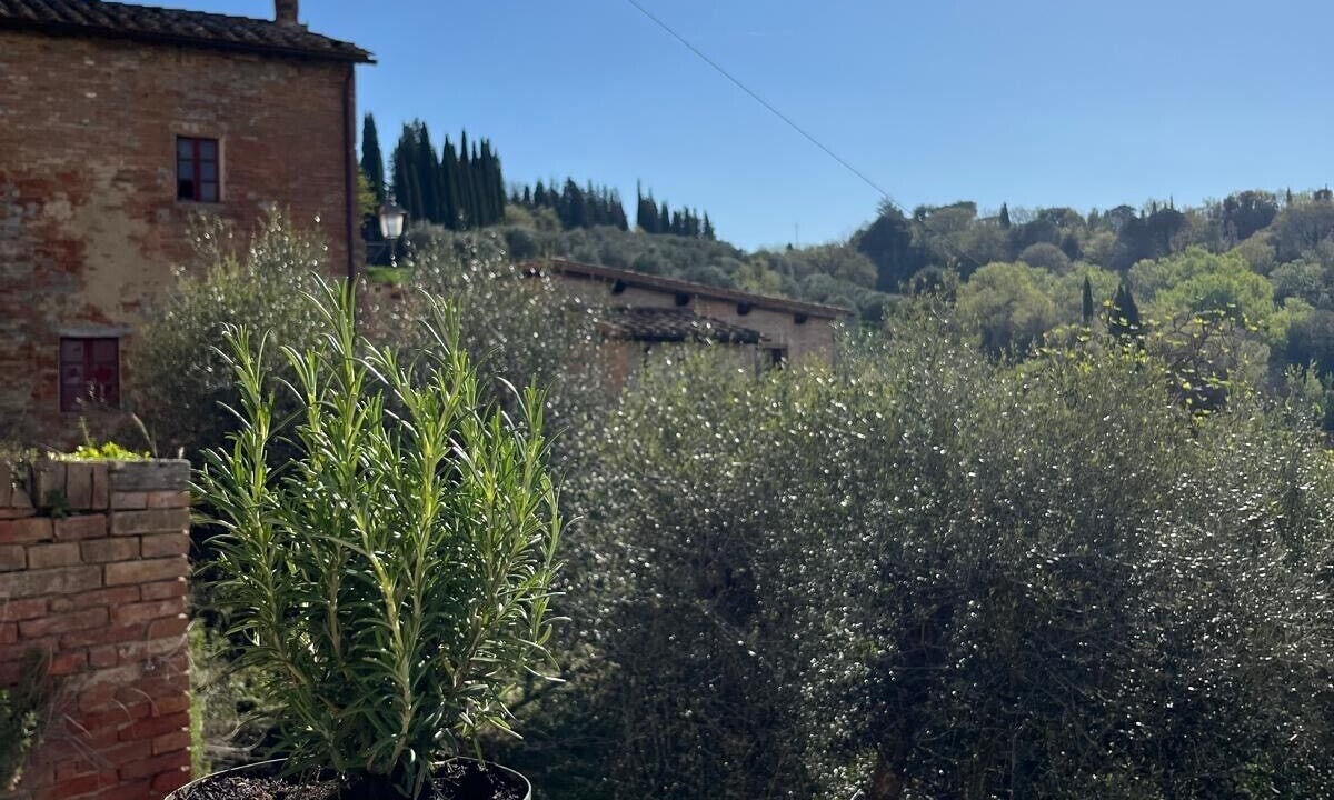 Photo of Outdoor in Bollano