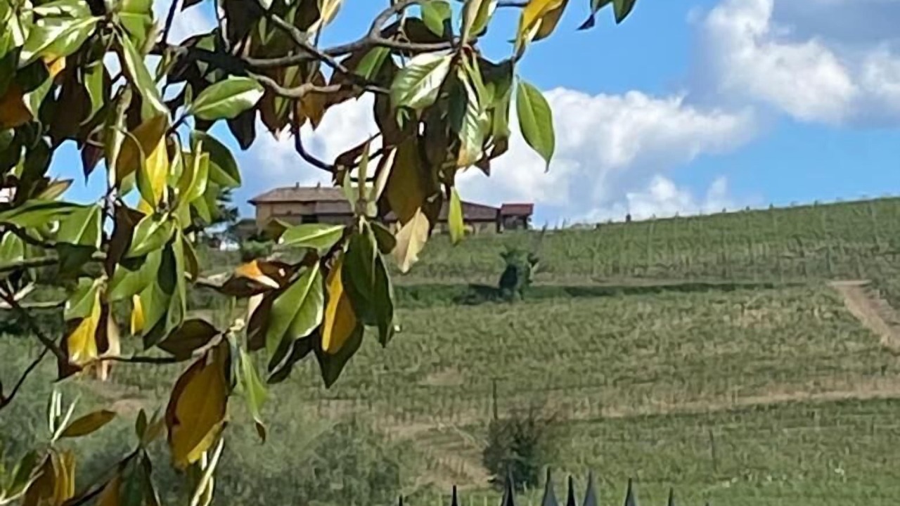 Photo of Outdoor in Agliano Terme