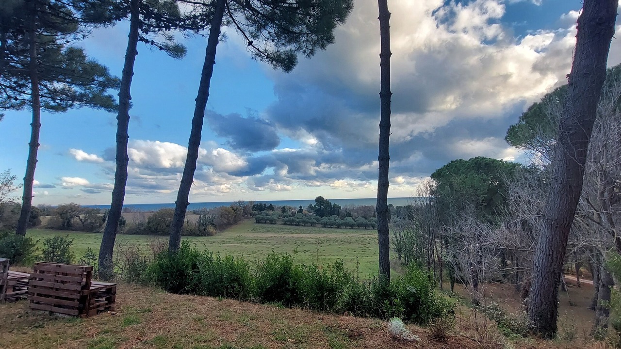 Photo of Outdoor in Pesaro