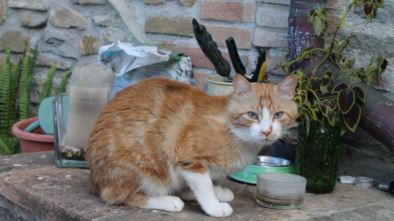 Photo of Outdoor in Nerbisci