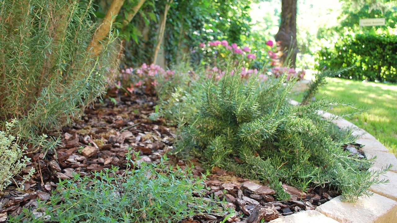 Photo of Outdoor in Urbino