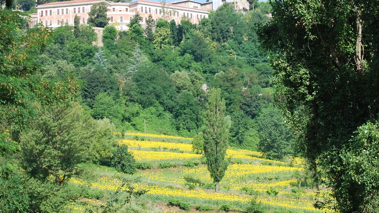 Photo of Others in Urbino