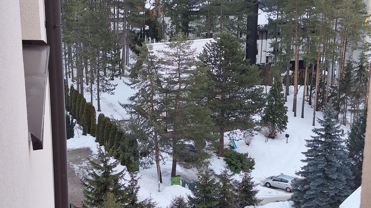 Photo of Others in Zlatibor