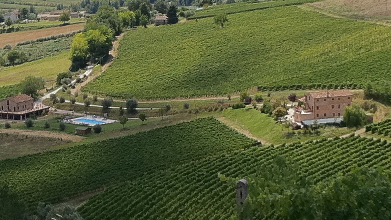 Photo of Outdoor in Ortezzano