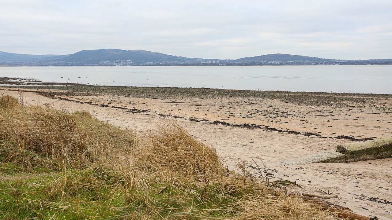 Photo of Others in Cultra