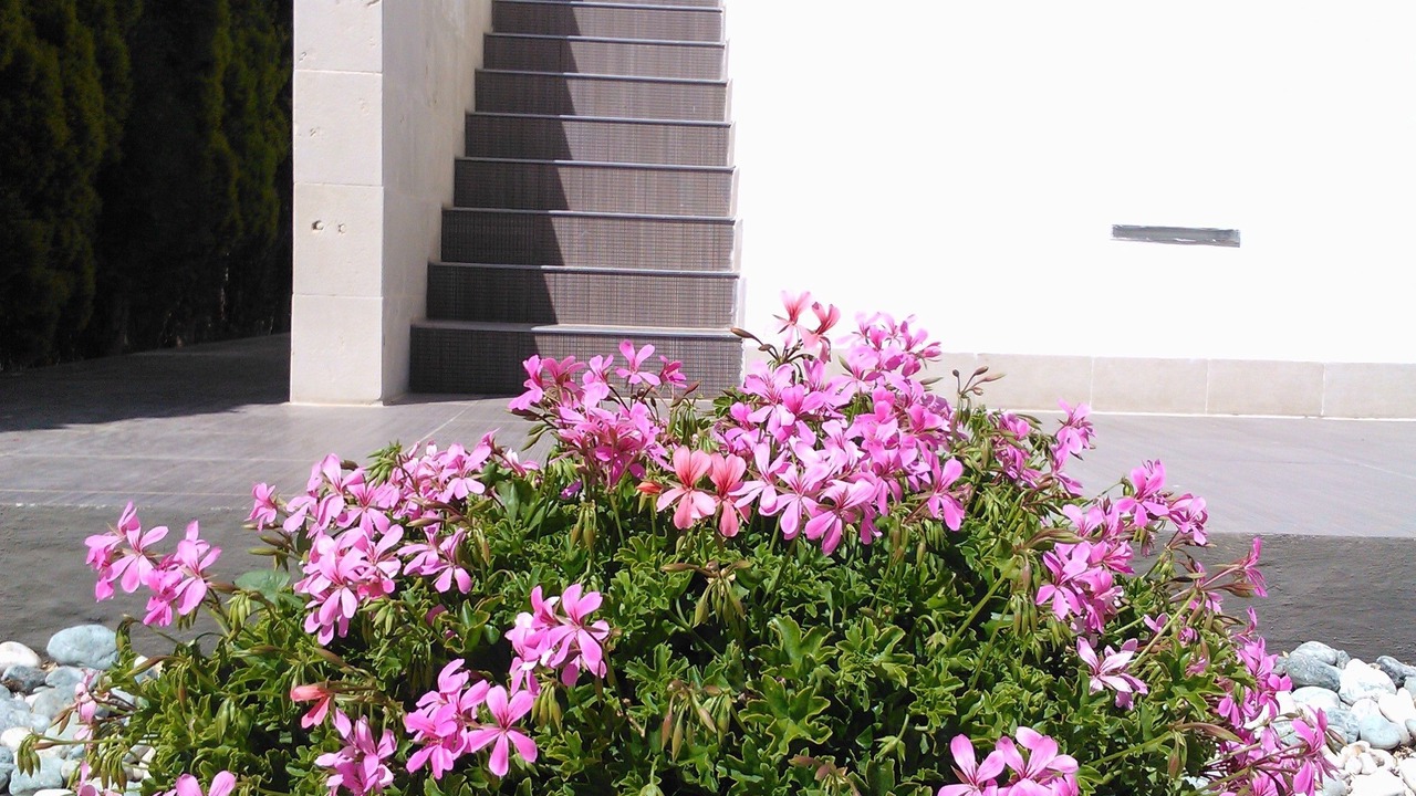 Photo of Outdoor in Pachino
