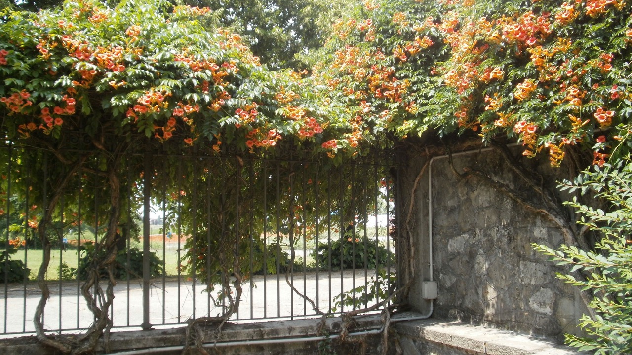 Photo of Outdoor in Palazzolo sull'Oglio