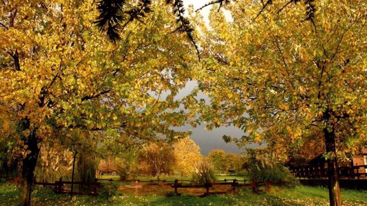 Photo of Outdoor in Genzano di Roma