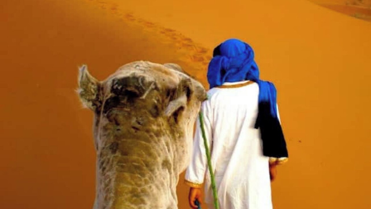 Photo of Others in Timahdite
