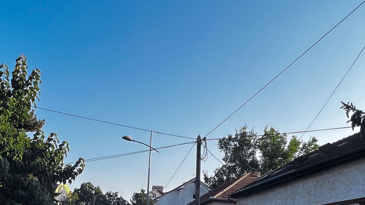 Photo of Others in Grbavica