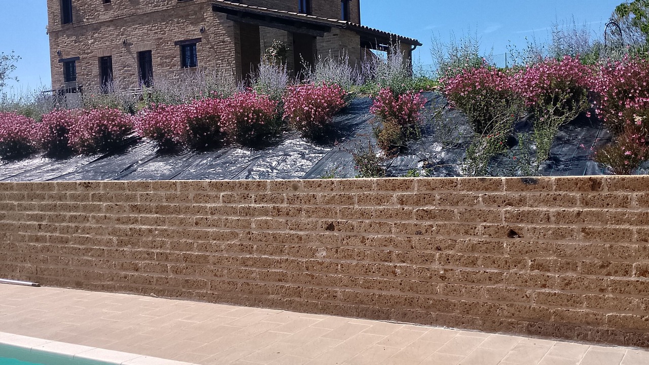 Photo of Outdoor in Falerone
