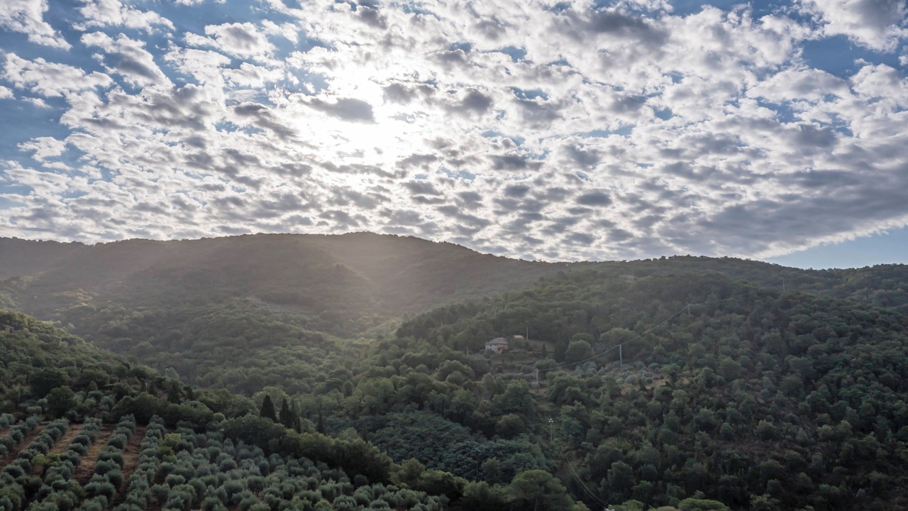 Photo of Others in Greve in Chianti