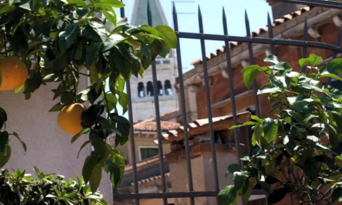 Photo of Outdoor in Isola San Giorgio Maggiore