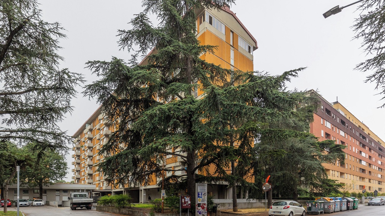 Photo of Outdoor in Savena