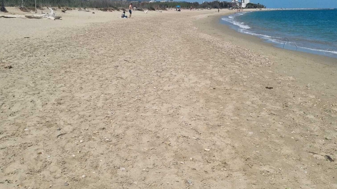 Photo of Others in San Benedetto del Tronto