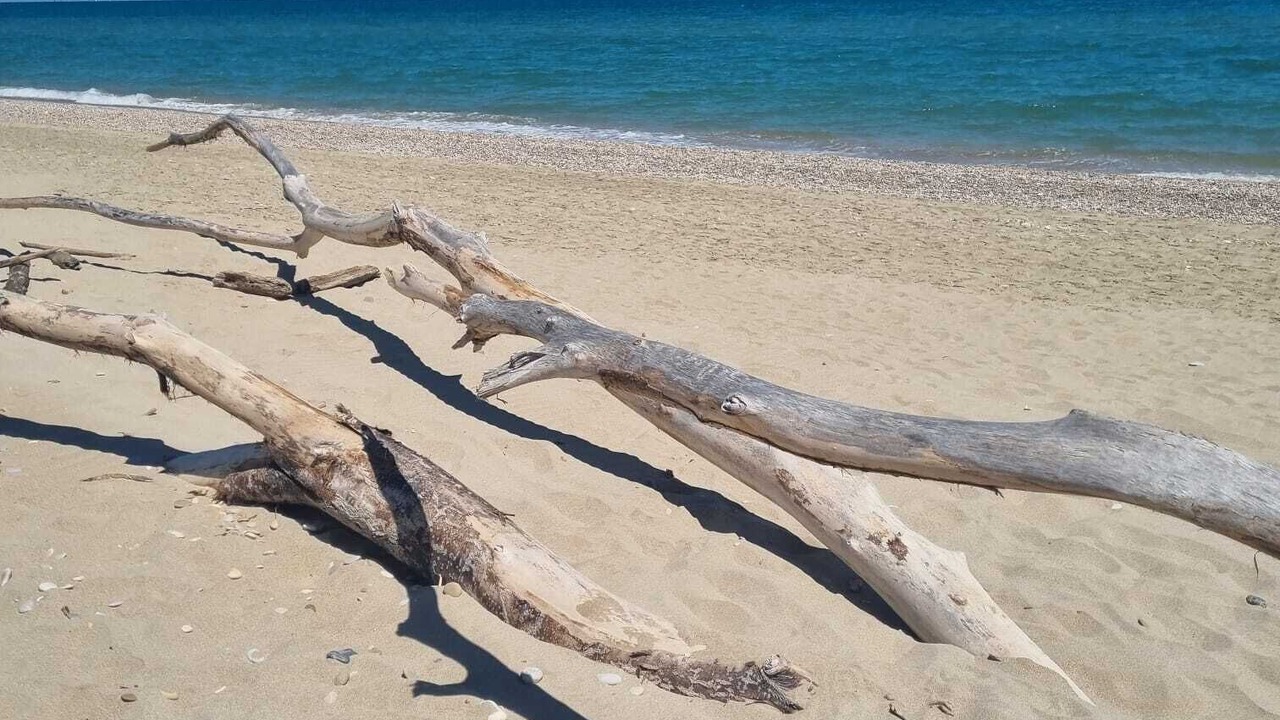 Photo of Others in San Benedetto del Tronto