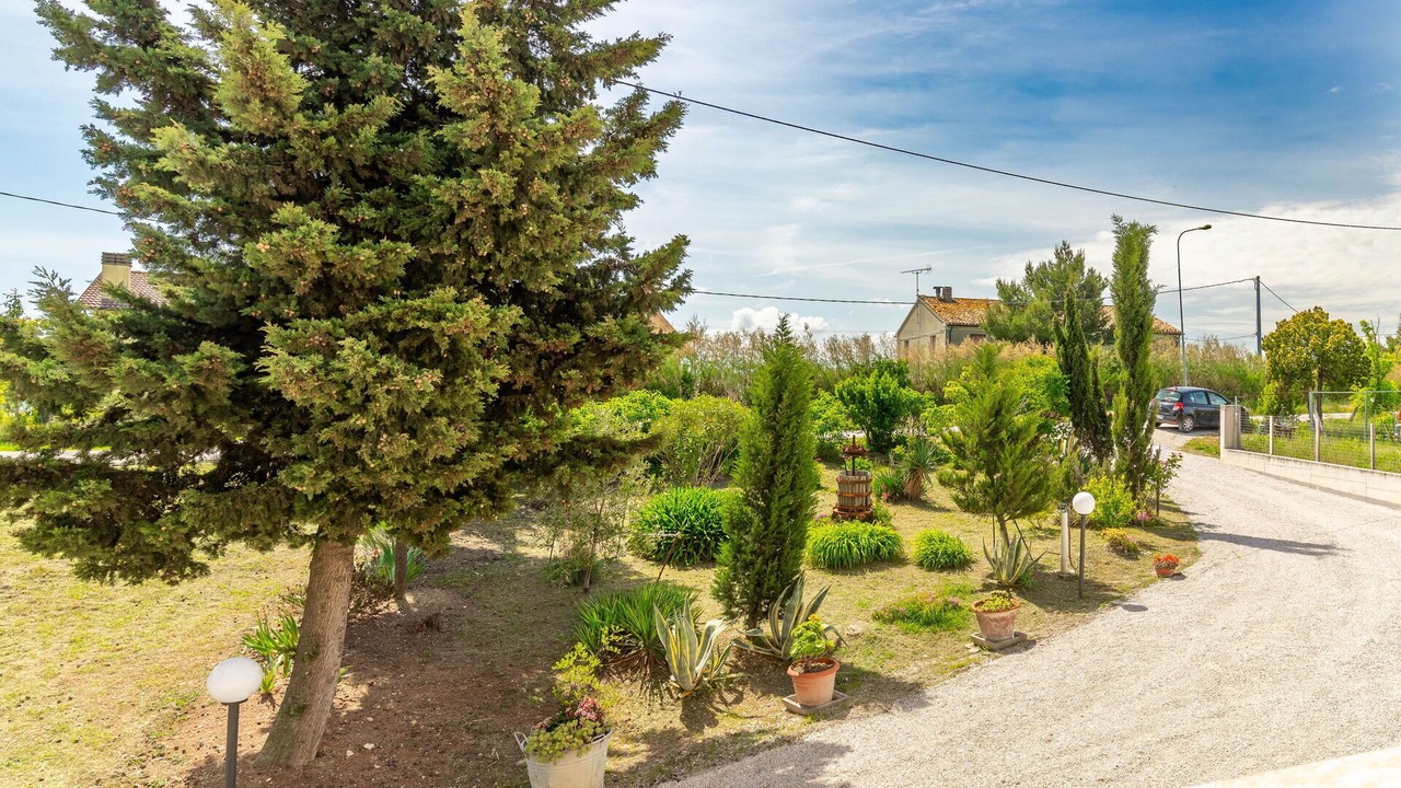 Photo of Outdoor in San Costanzo