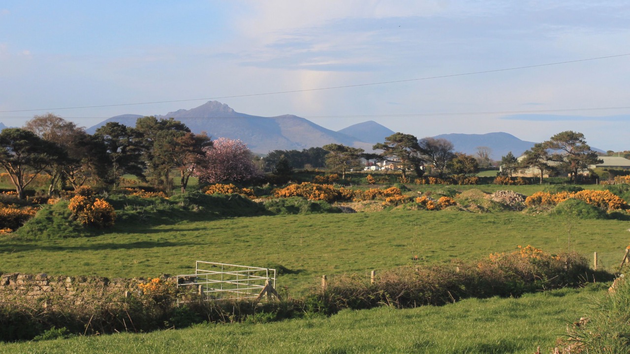 Photo of Others in Kilkeel