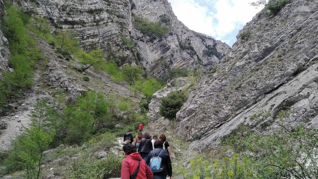 Photo of Others in Orsogna