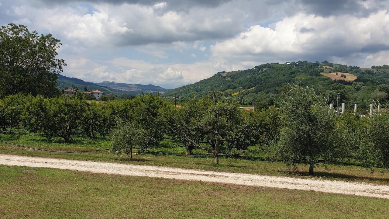 Photo of Outdoor in Montalto delle Marche