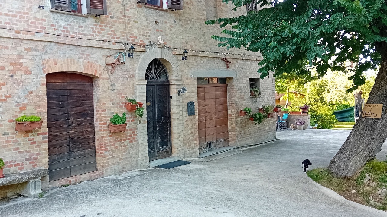 Photo of Outdoor in Monterosso