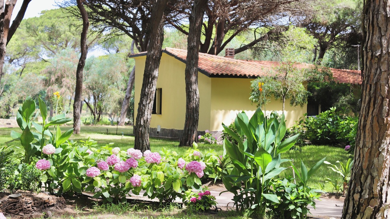 Photo of Outdoor in Arborea