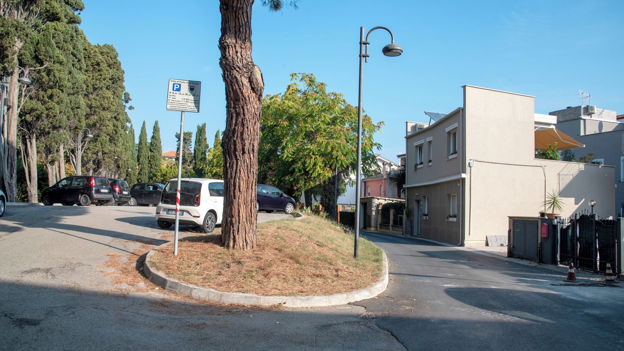 Photo of Others in Porto Sant'Elpidio