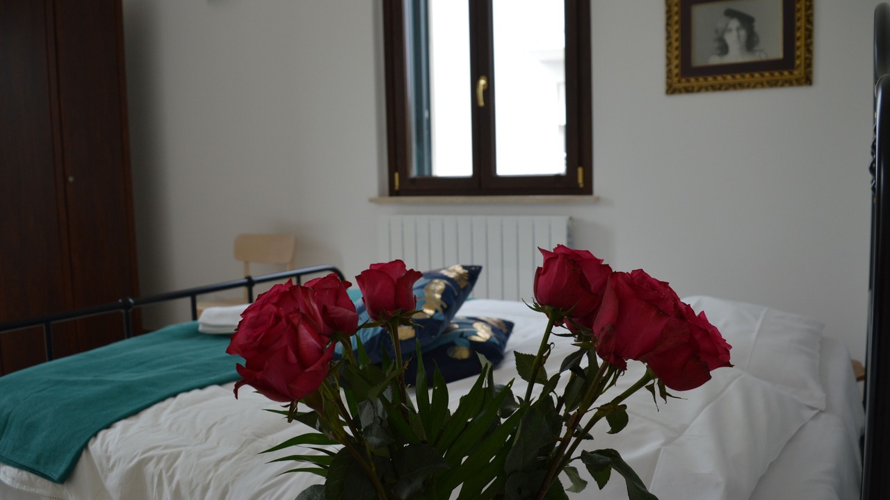 Photo of Others in L'Aquila