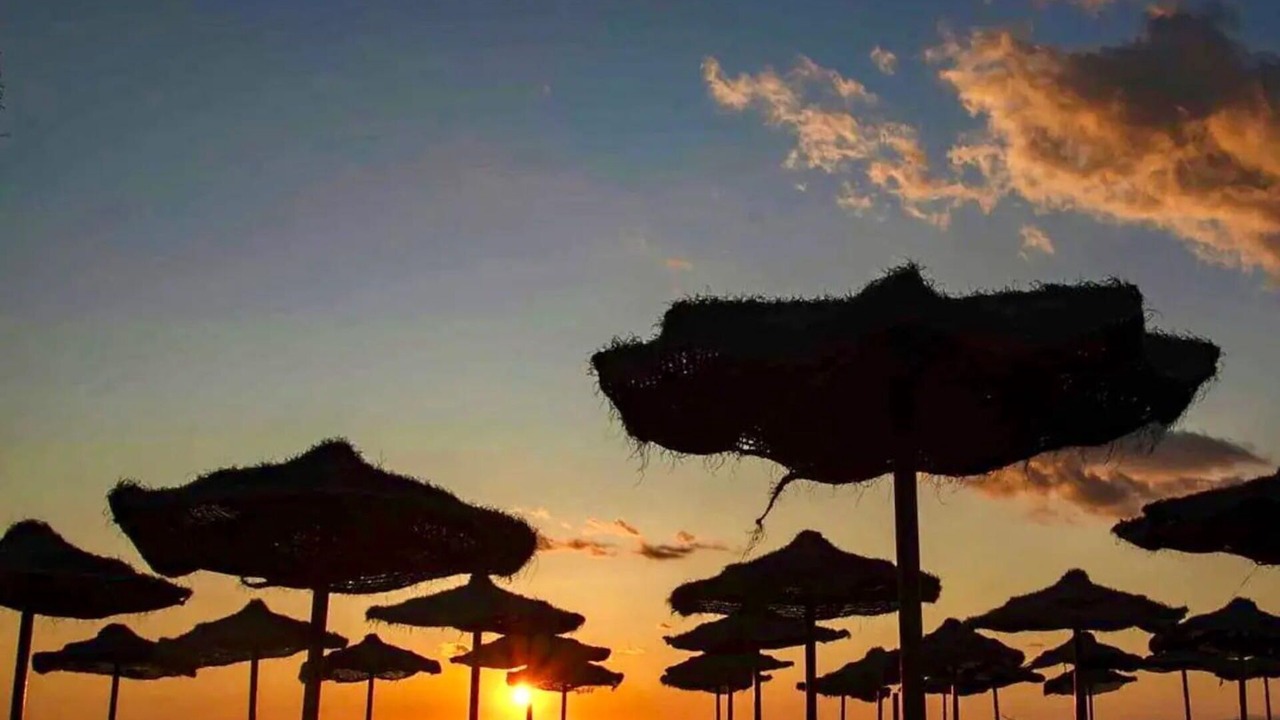 Photo of Outdoor in Calambrone
